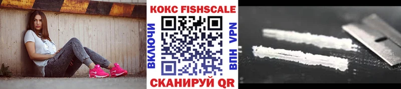 COCAIN Fish Scale где найти наркотики кракен рабочий сайт Мурманск