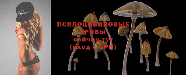мяу мяу мука Балахна