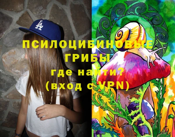 дживик Арсеньев